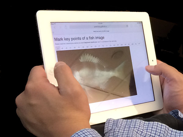 Turker working on an iPad