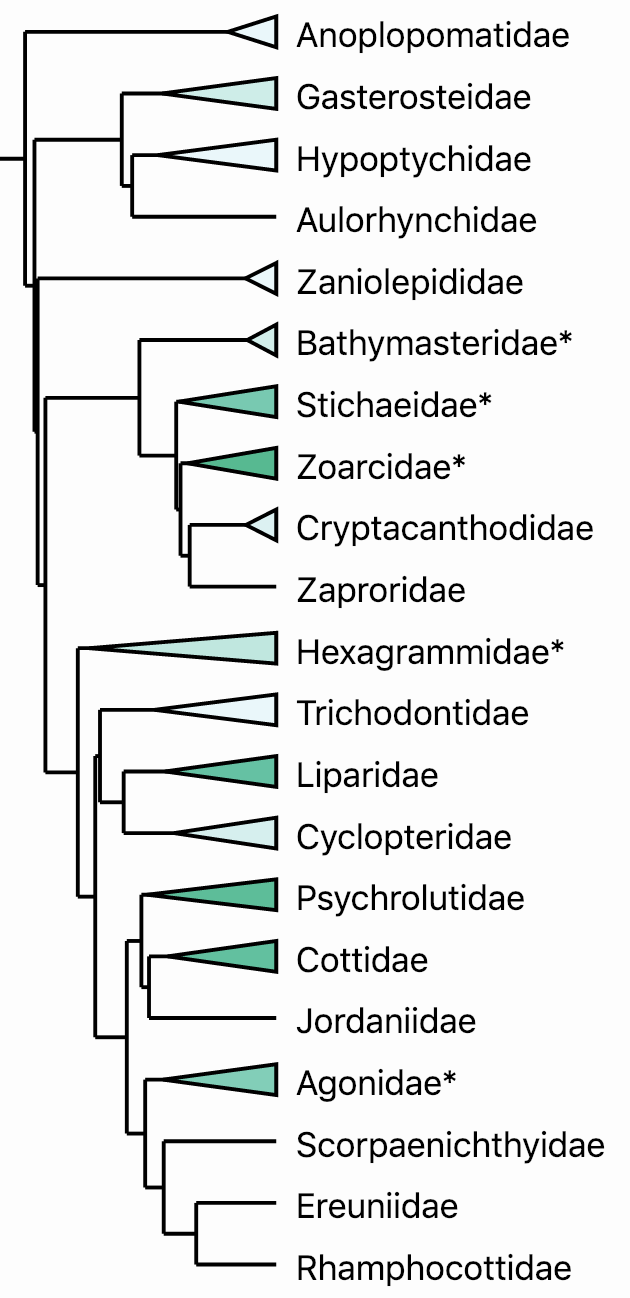 A portion of the backbone phylogeny leading to the taxonomy pages.